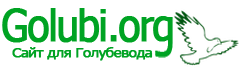 Golubi.org